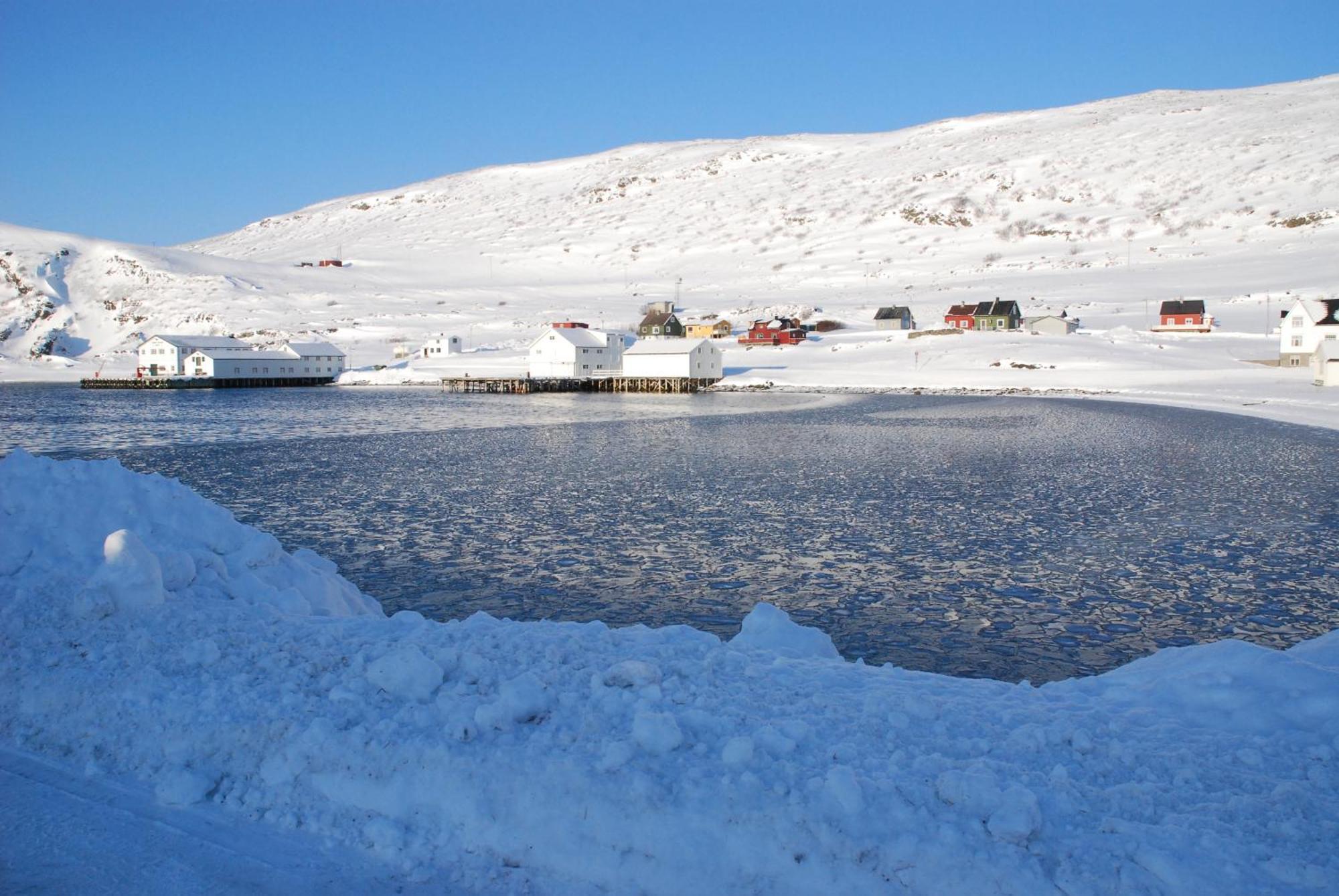 Kongsfjord Holiday Home Zewnętrze zdjęcie