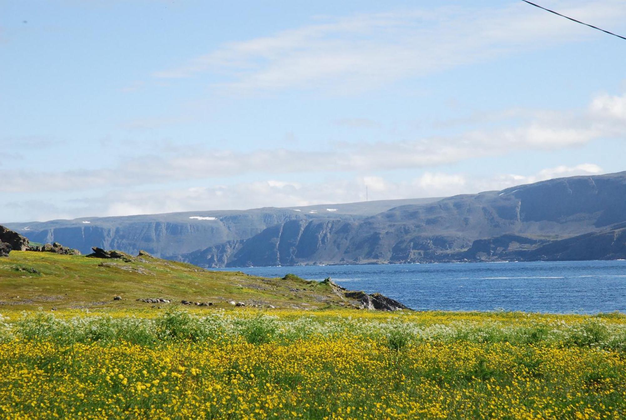 Kongsfjord Holiday Home Zewnętrze zdjęcie